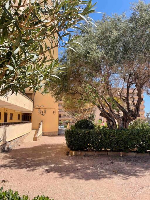 Ferienwohnung Miramar V Torrevieja Zewnętrze zdjęcie